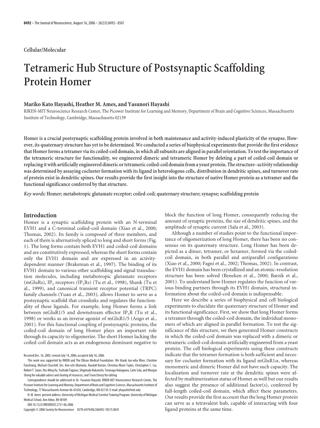 Tetrameric Hub Structure of Postsynaptic Scaffolding Protein Homer