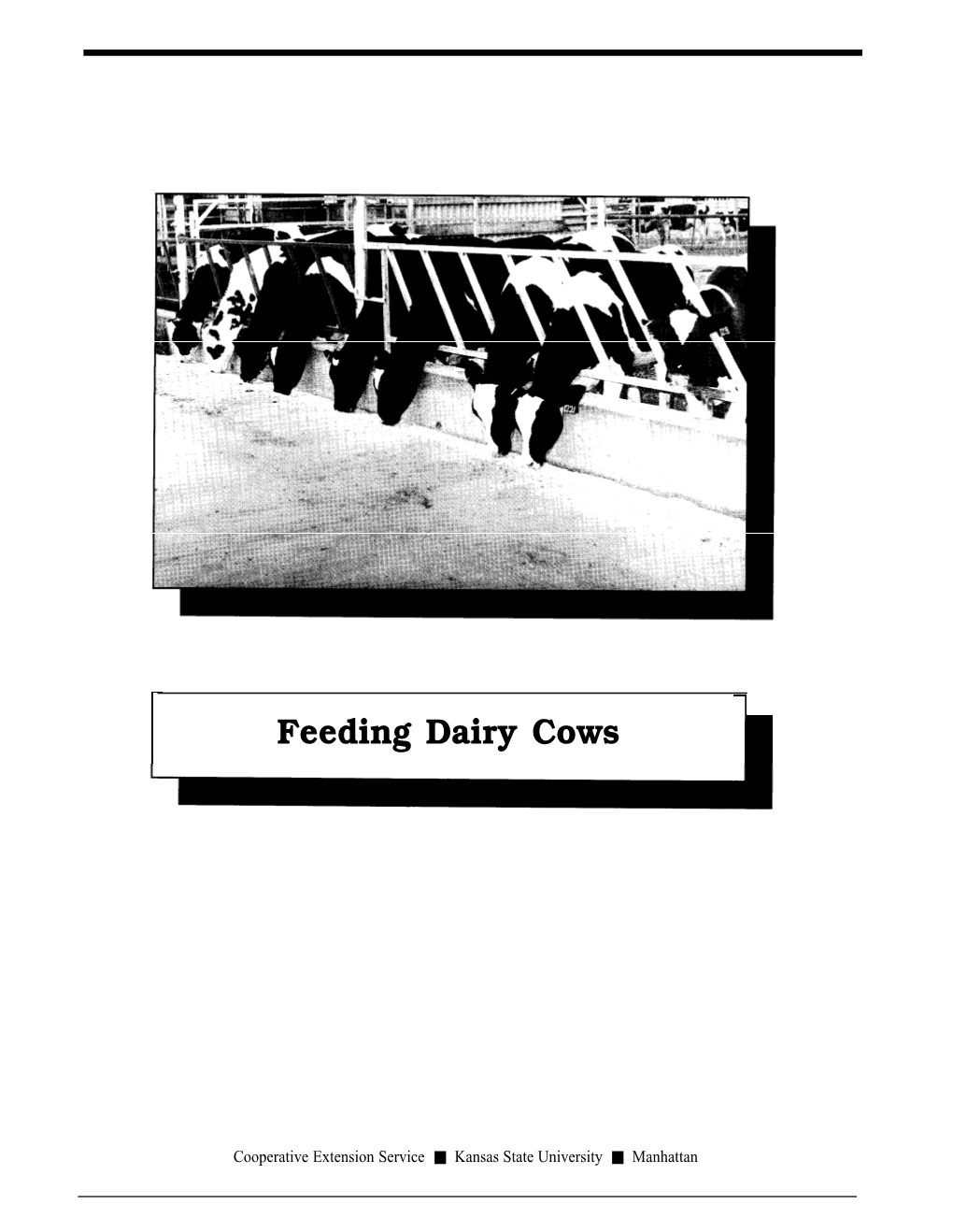 MF754 Feeding Dairy Cows