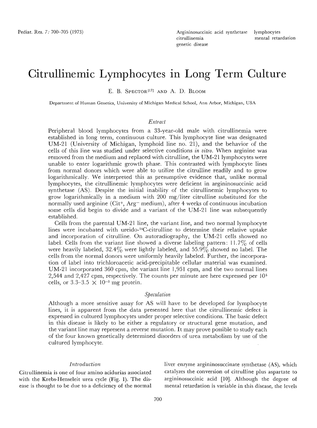 Citrullinemic Lymphocytes in Long Term Culture