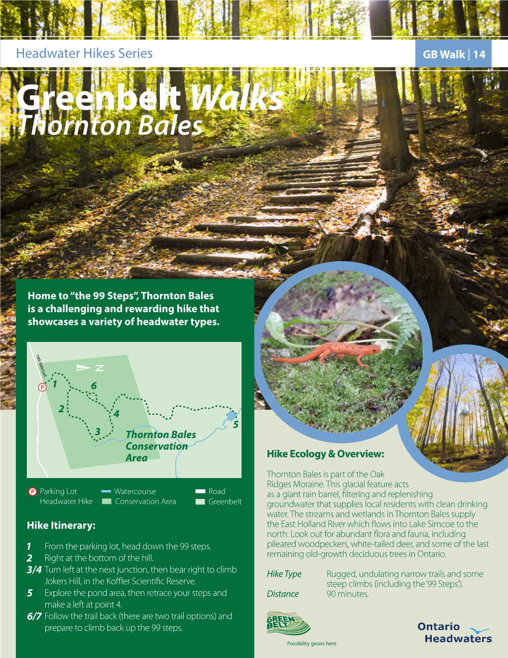 Greenbelt Walks Thornton Bales