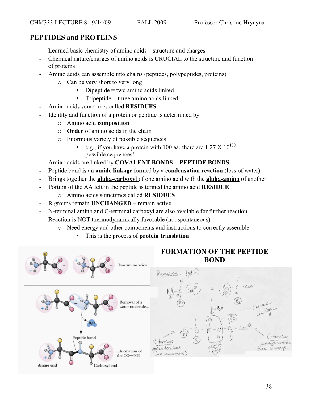 CHM333 LECTURE 8: 9/14/09 FALL 2009 Professor Christine Hrycyna 38