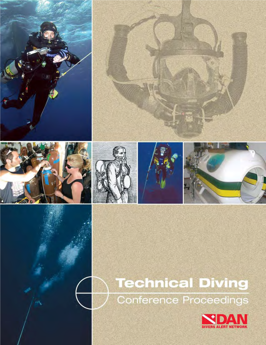 2008Techdiverreport.Pdf