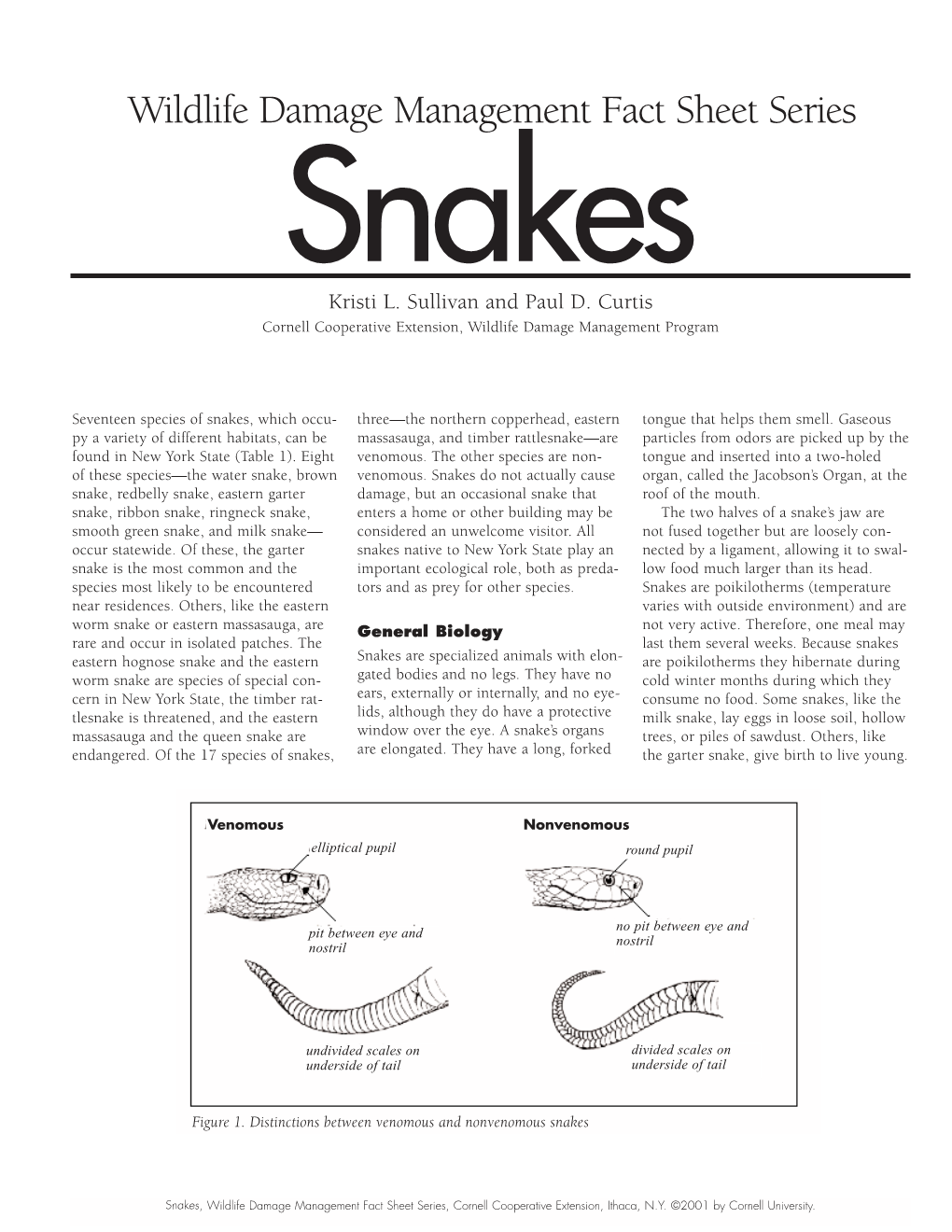 Snakes Factsheet