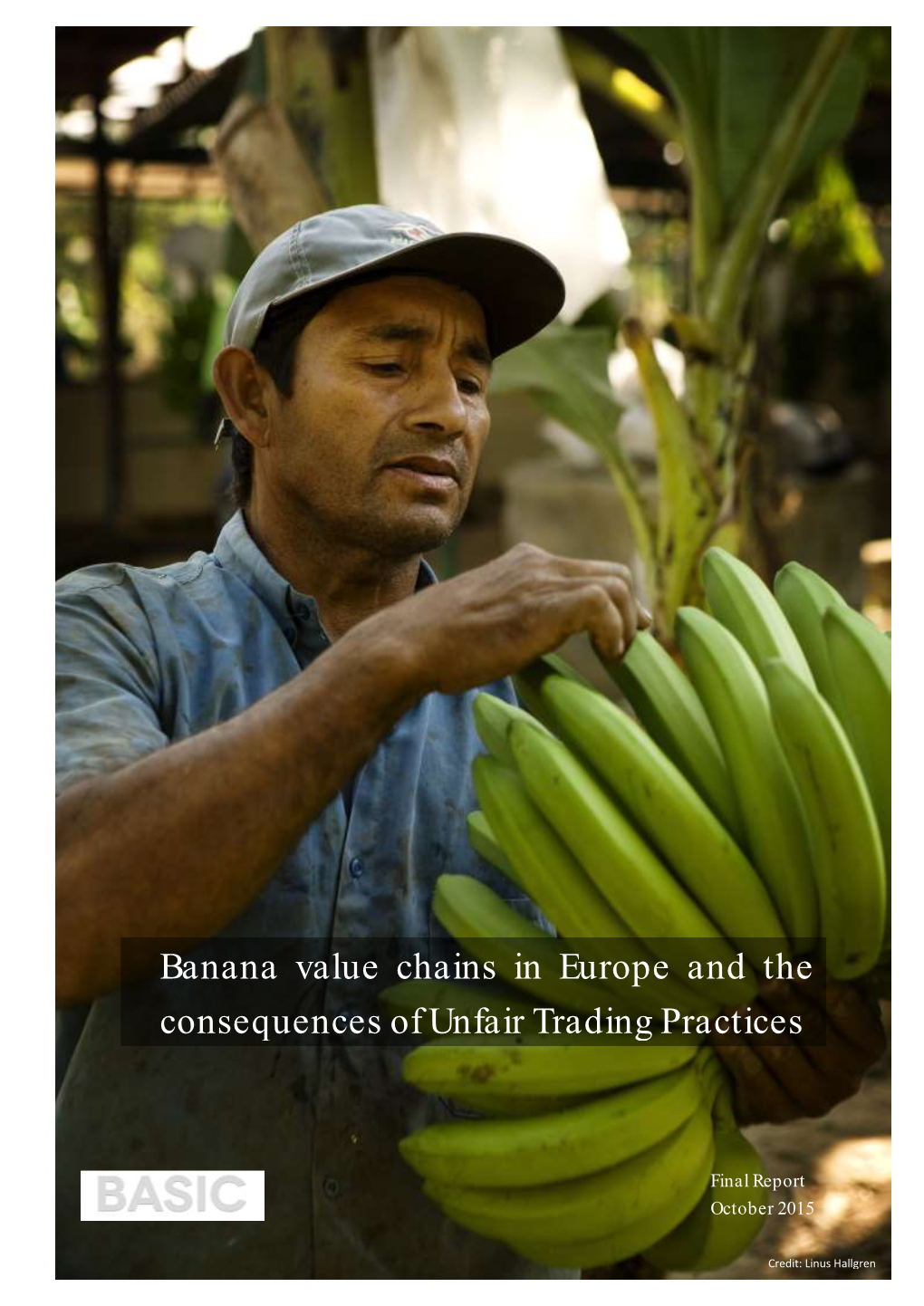 Banana Value Chains in Europe and the Consequences of Unfair Trading Practices