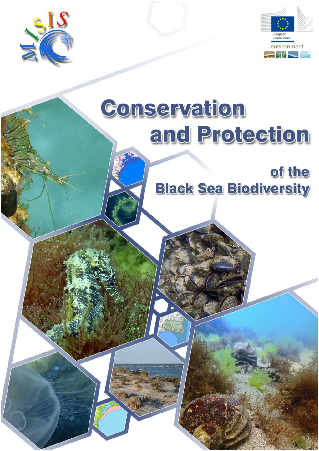 Conservation and Protection of the Black Sea Biodiversity