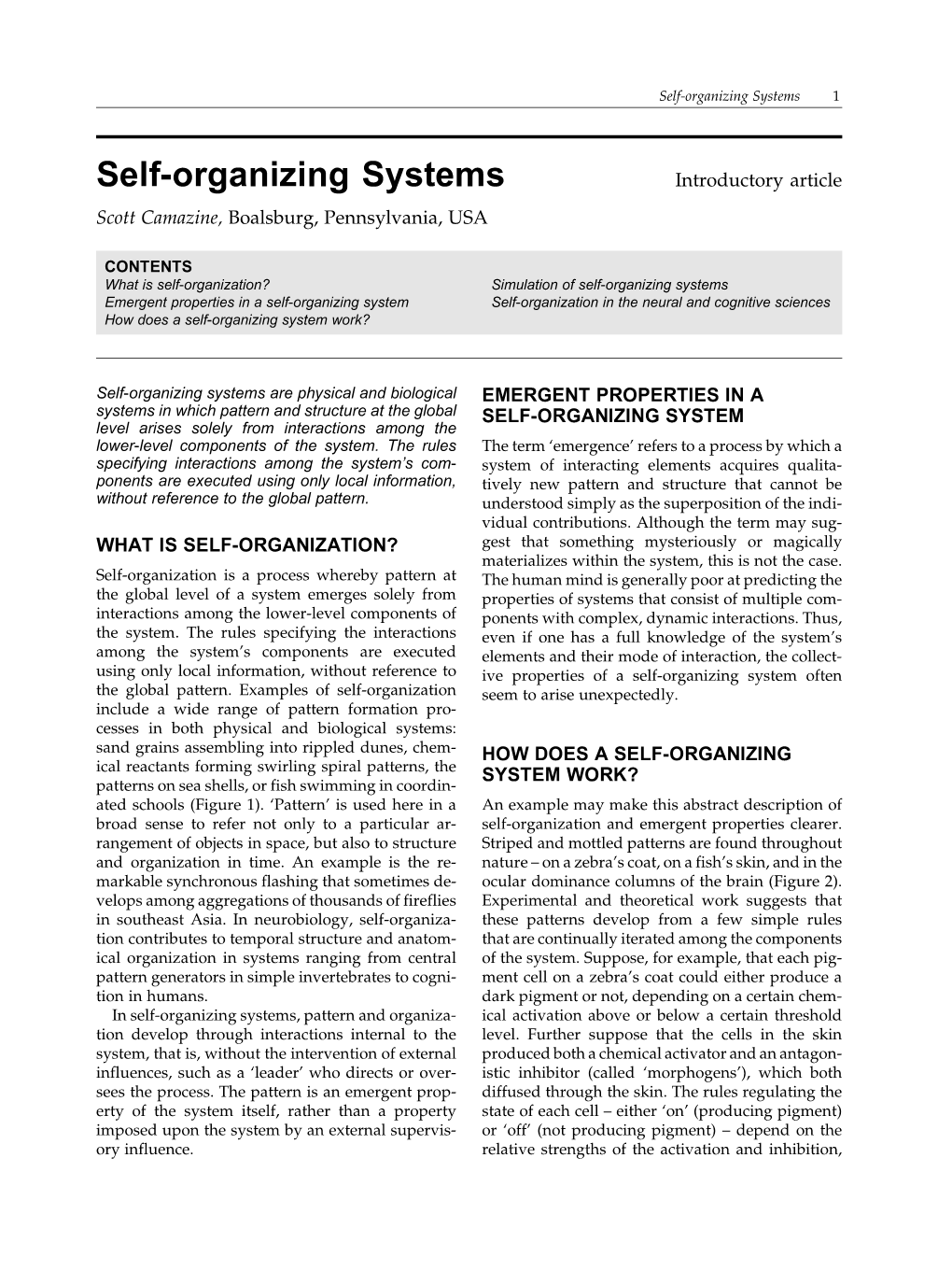 Self-Organizing Systems 1