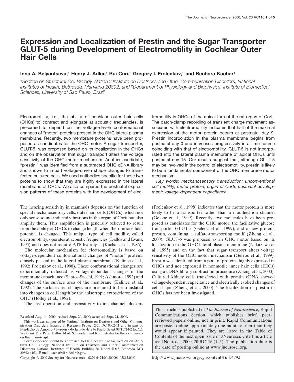 Expression and Localization of Prestin and the Sugar Transporter GLUT-5 During Development of Electromotility in Cochlear Outer Hair Cells