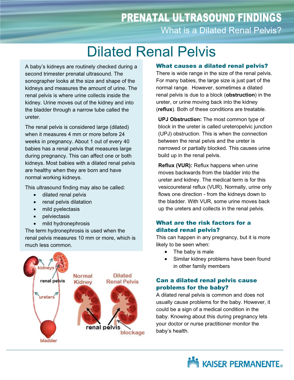 Dilated Renal Pelvis?