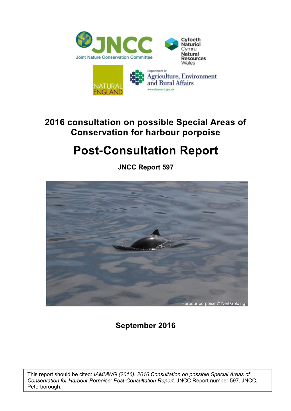 Consultation Report