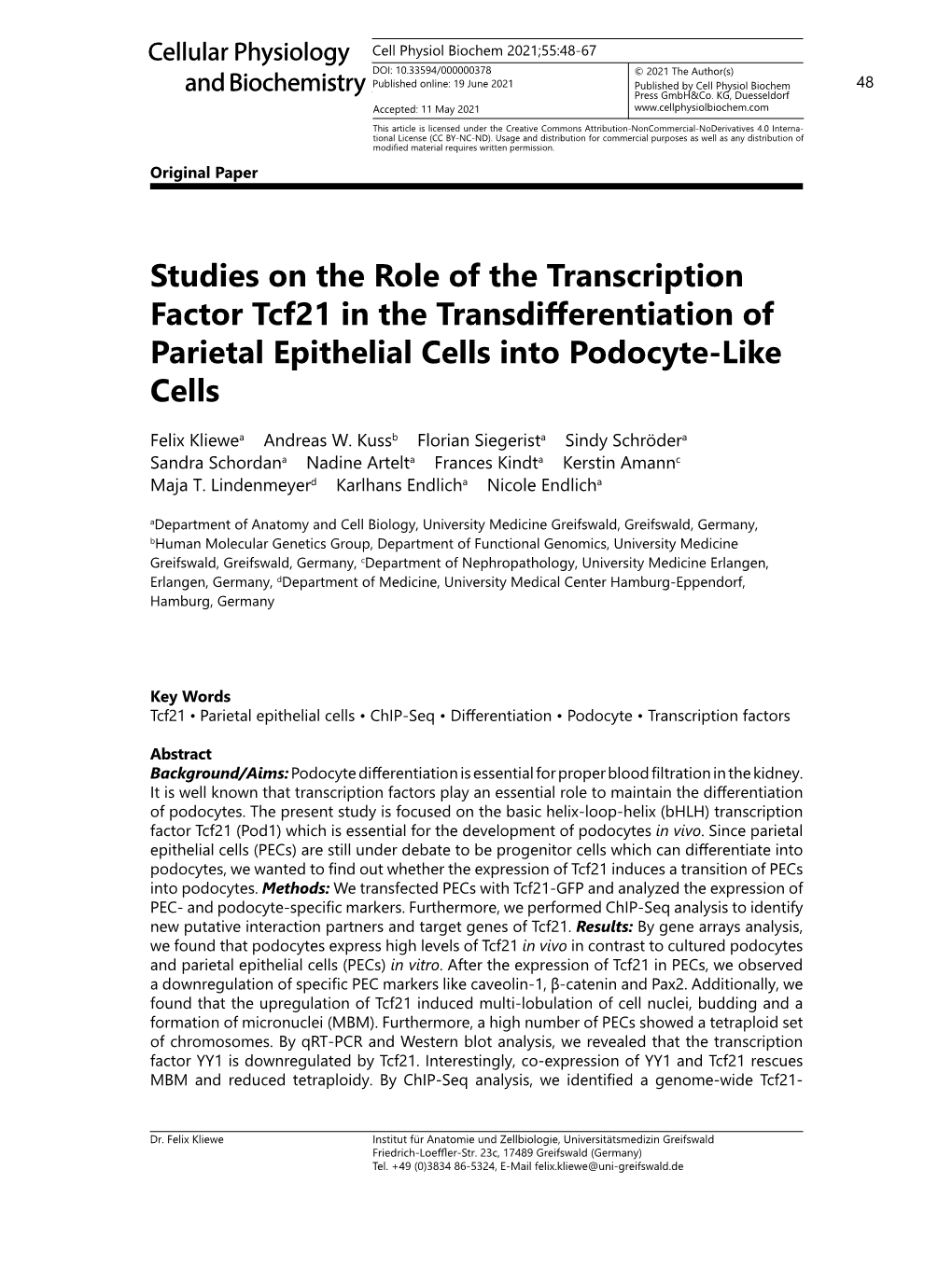 Studies on the Role of the Transcription Factor Tcf21 in the Transdifferentiation of Parietal Epithelial Cells Into Podocyte-Like Cells