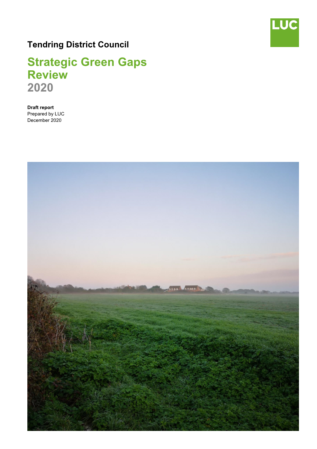 Strategic Green Gaps Review 2020
