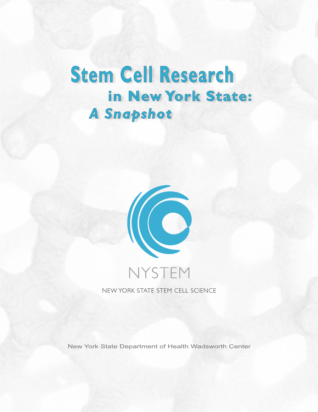 Stem Cell Research in New York State: a Snapshot