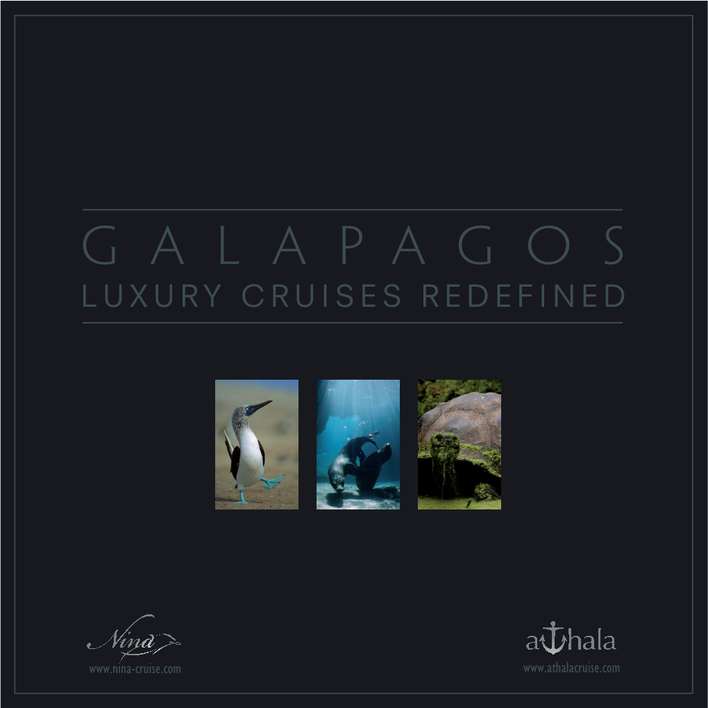 Galapagos Islands Are the Mystical Journey of a Lifetime