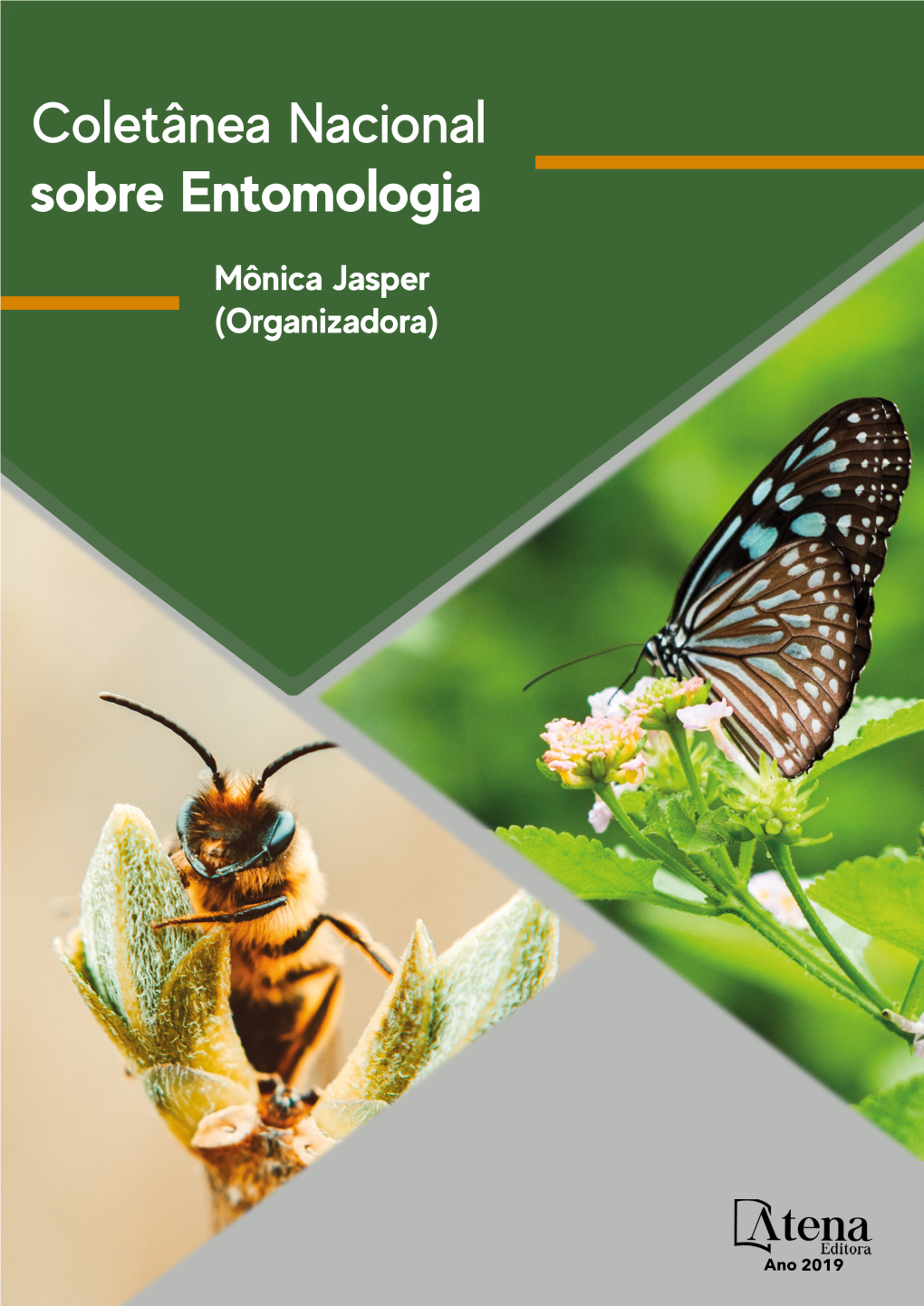 Coletânea Nacional Sobre Entomologia
