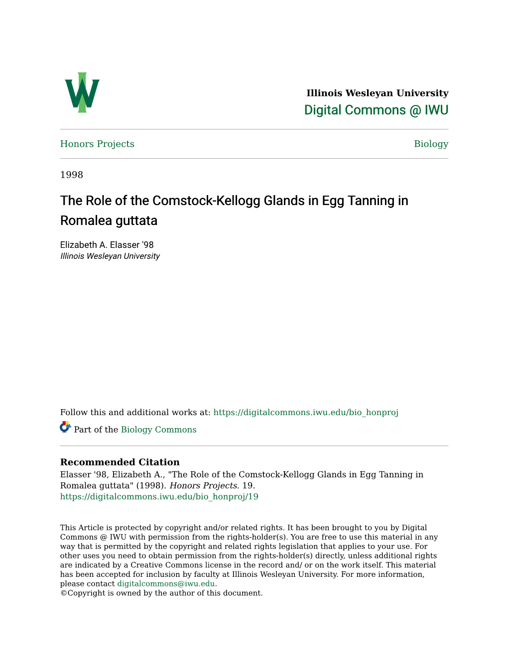 The Role of the Comstock-Kellogg Glands in Egg Tanning in Romalea Guttata