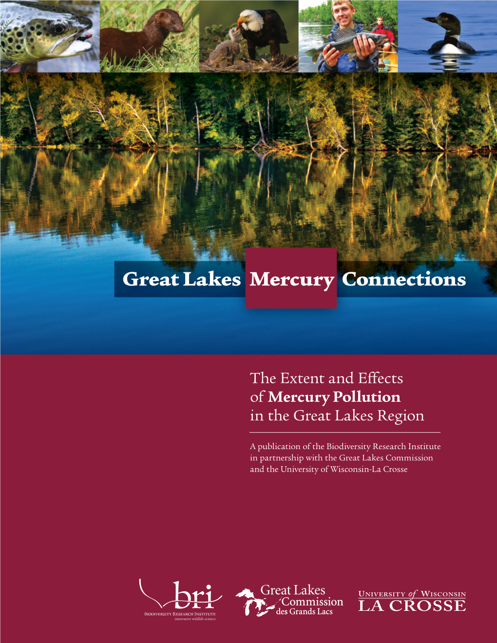 The Extent and Effects of Mercury Pollution in the Great Lakes Region