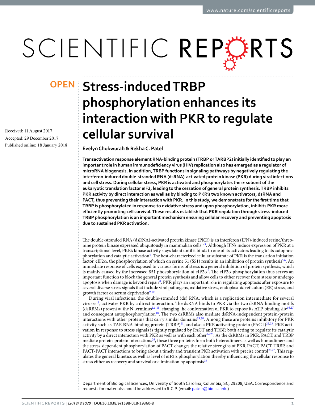 Stress-Induced TRBP Phosphorylation Enhances Its Interaction with PKR