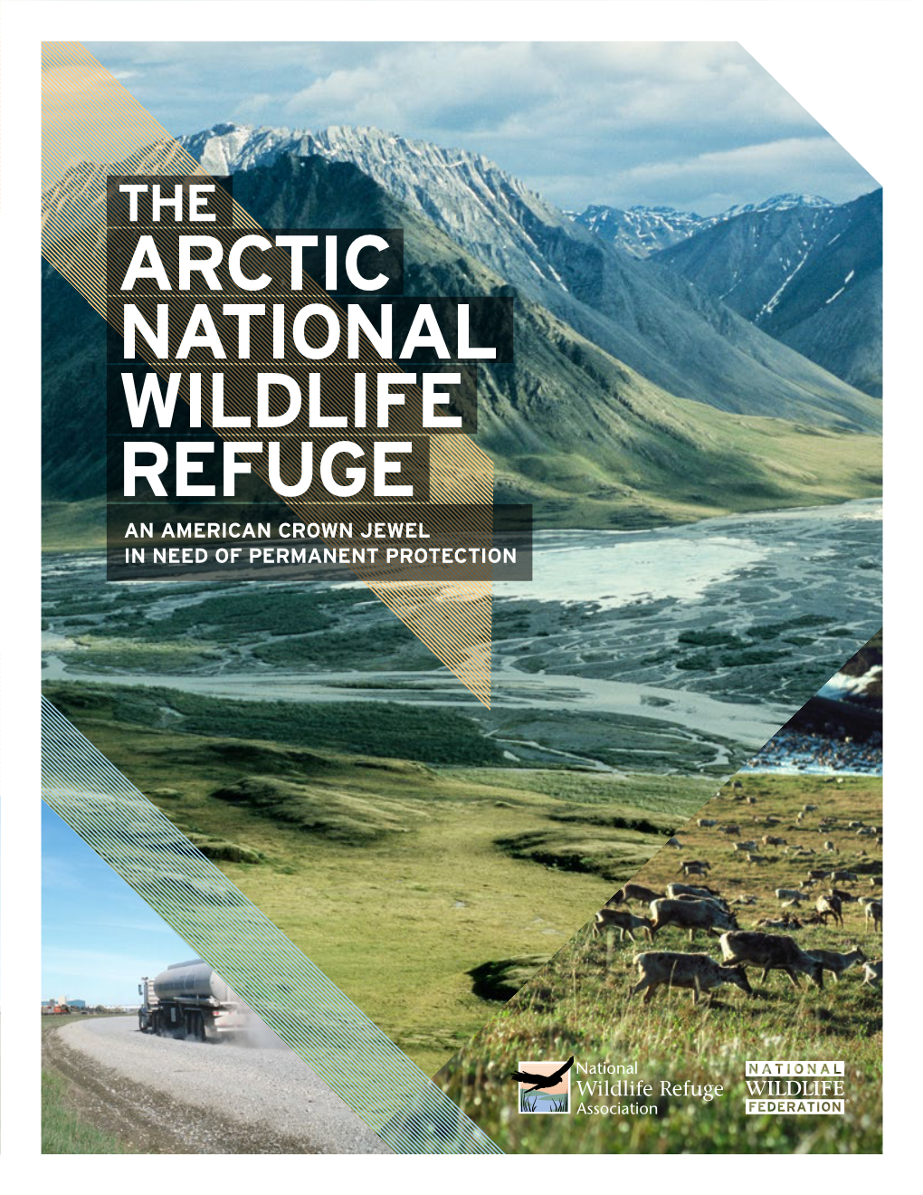 The Arctic National Wildlife Refuge an American Crown Jewel in Need of Permanent Protection 28 23 27 28 28 29 24 24 22 16 17 14 16 16 21 17 4 6 3 8 8