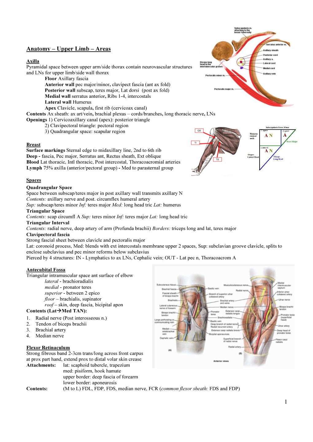 Upper Limb – Areas