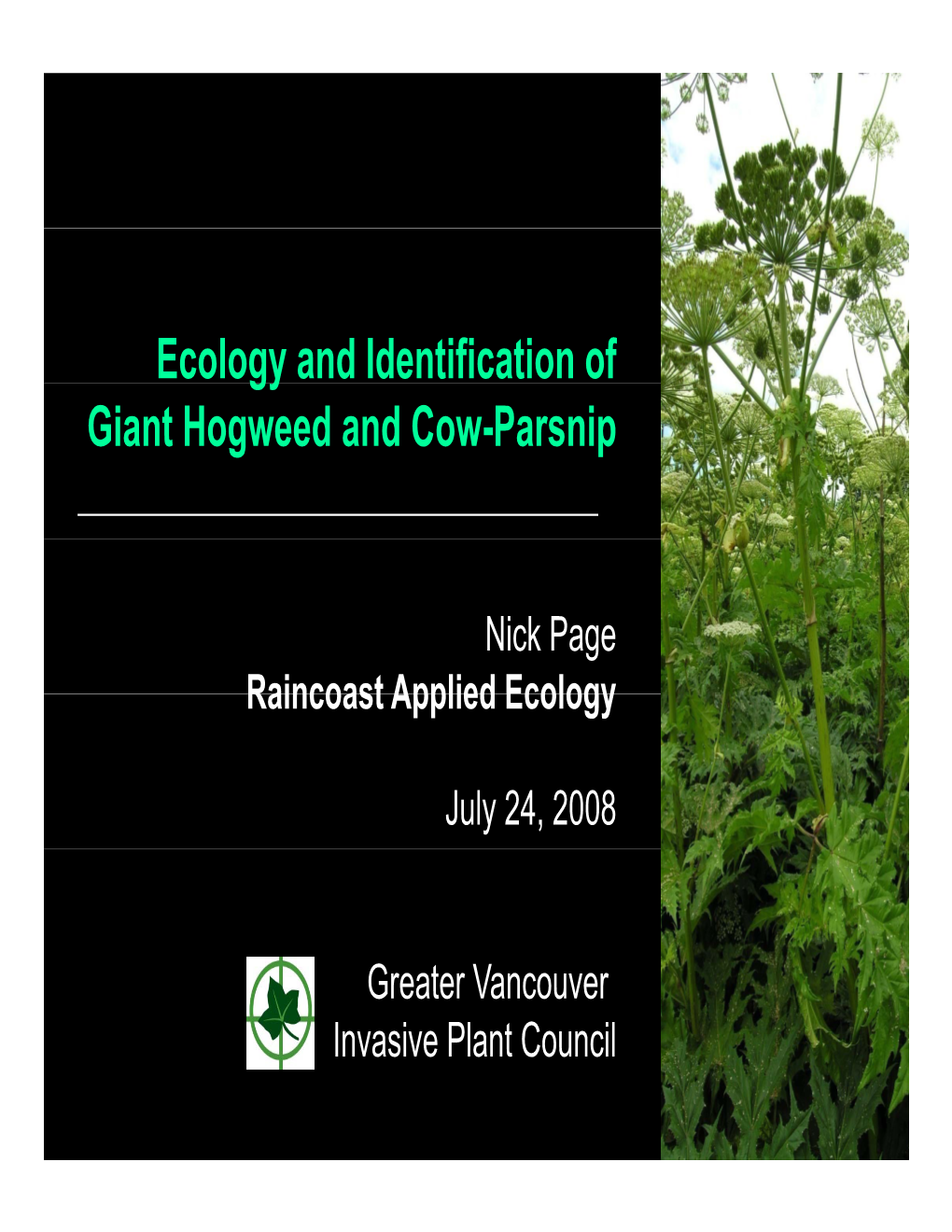 Ecology and Identification of Gy Giant Hogweed and Cow-Parsnip