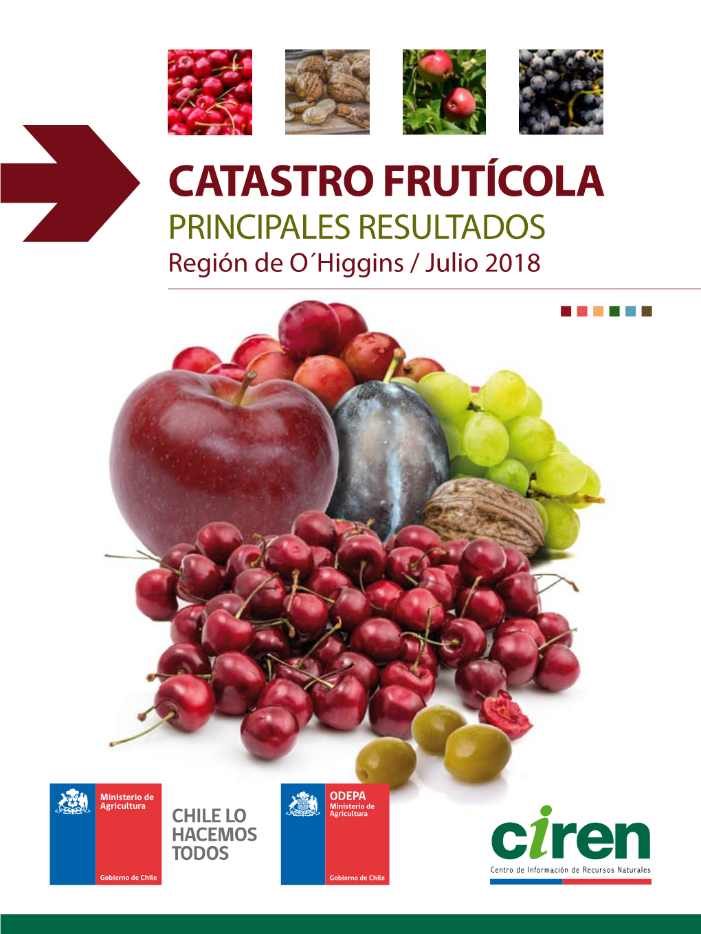 Catastro Frutícola Región De O'higgins