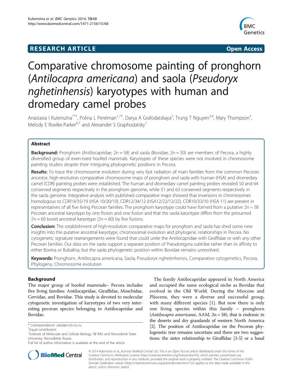 Comparative Chromosome Painting of Pronghorn (Antilocapra Americana