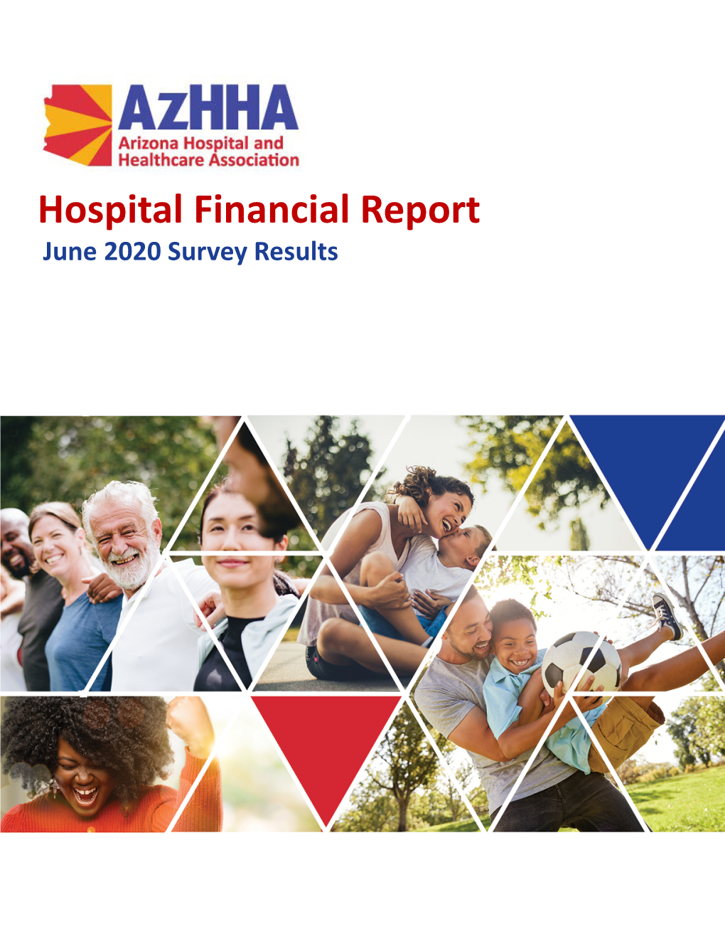 Hospital Financial Report June 2020 Survey Results Table of Contents