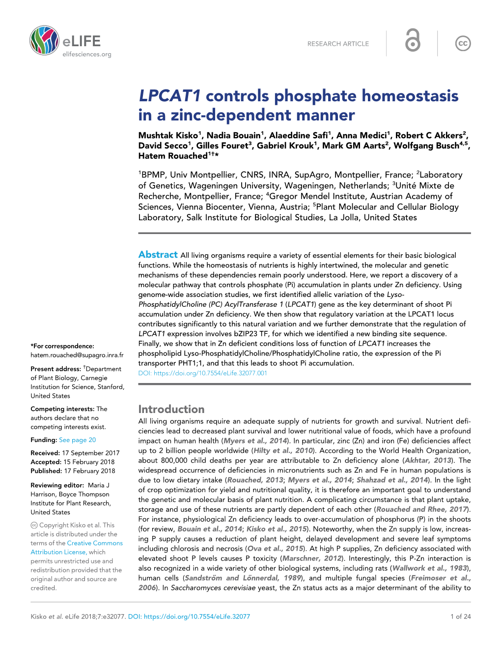 LPCAT1 Controls Phosphate Homeostasis in a Zinc