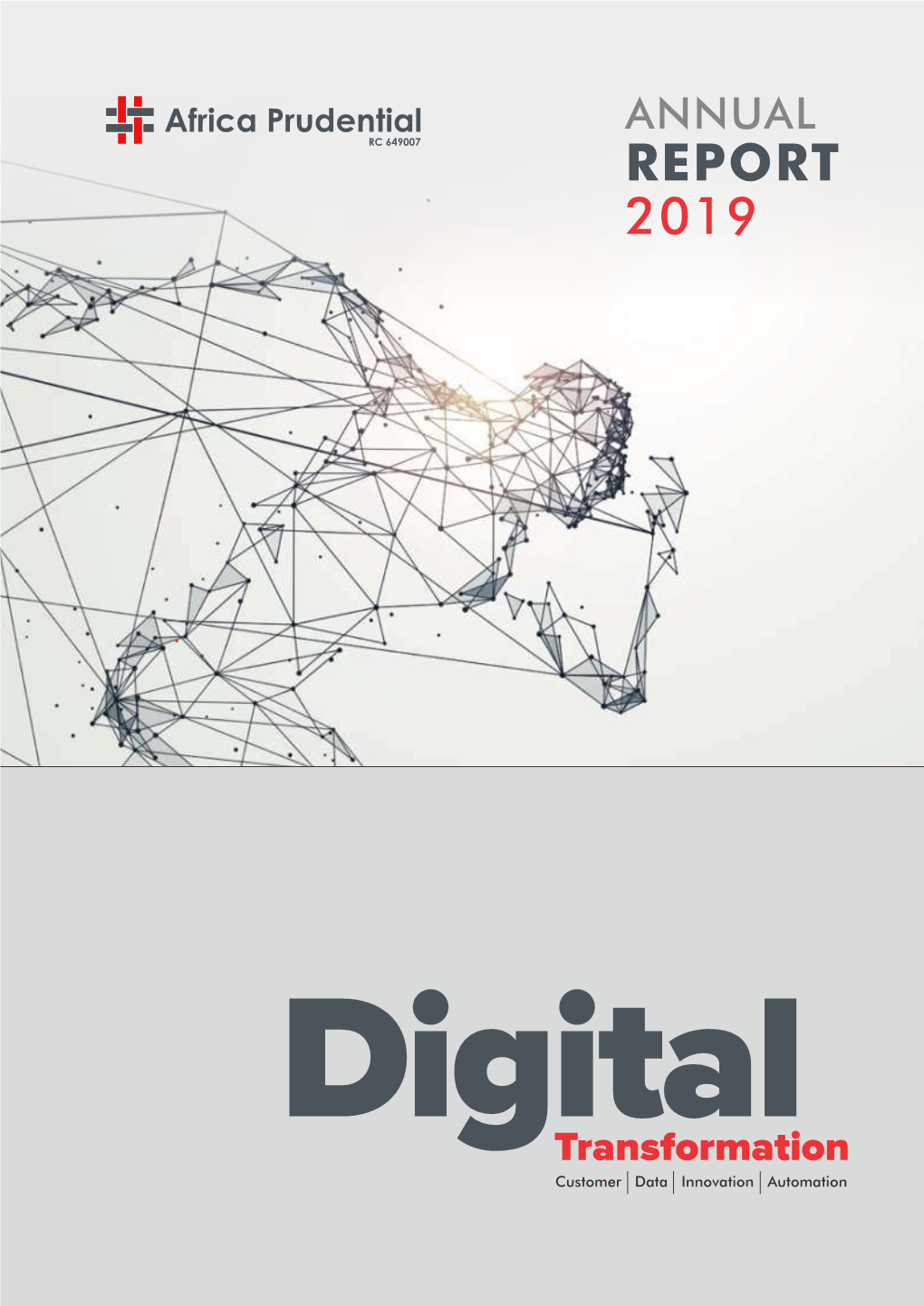 Annual Report 2019