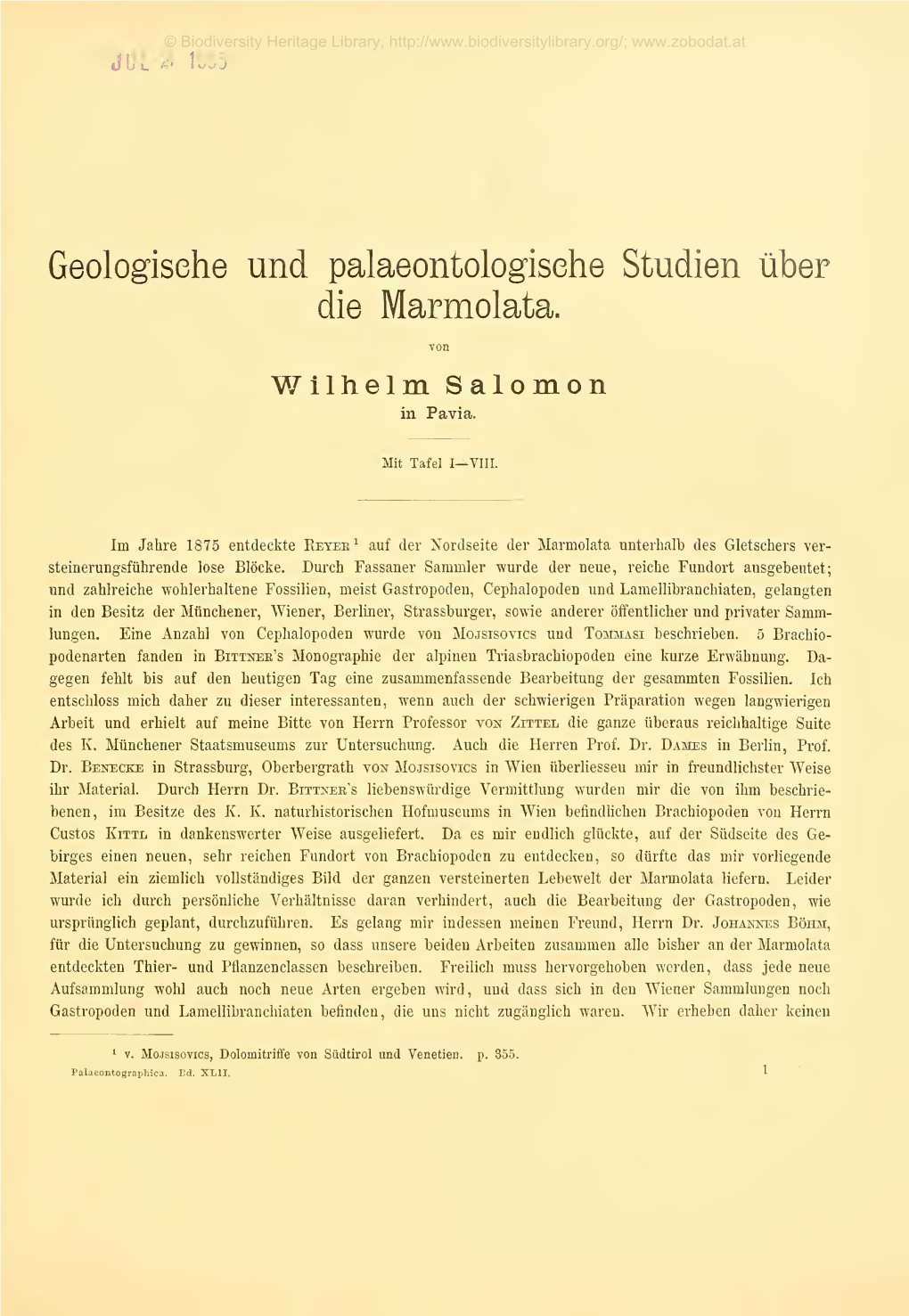 Wilhelm Salomon in Pavia