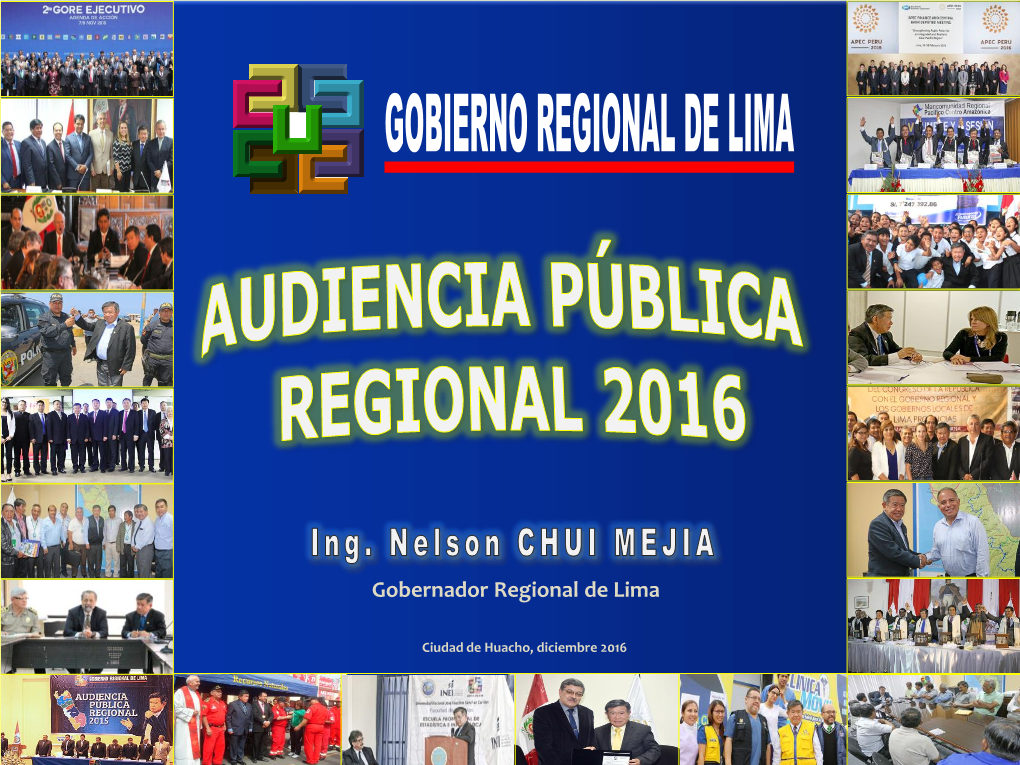 Audiencia 2016 Huacho.Pdf