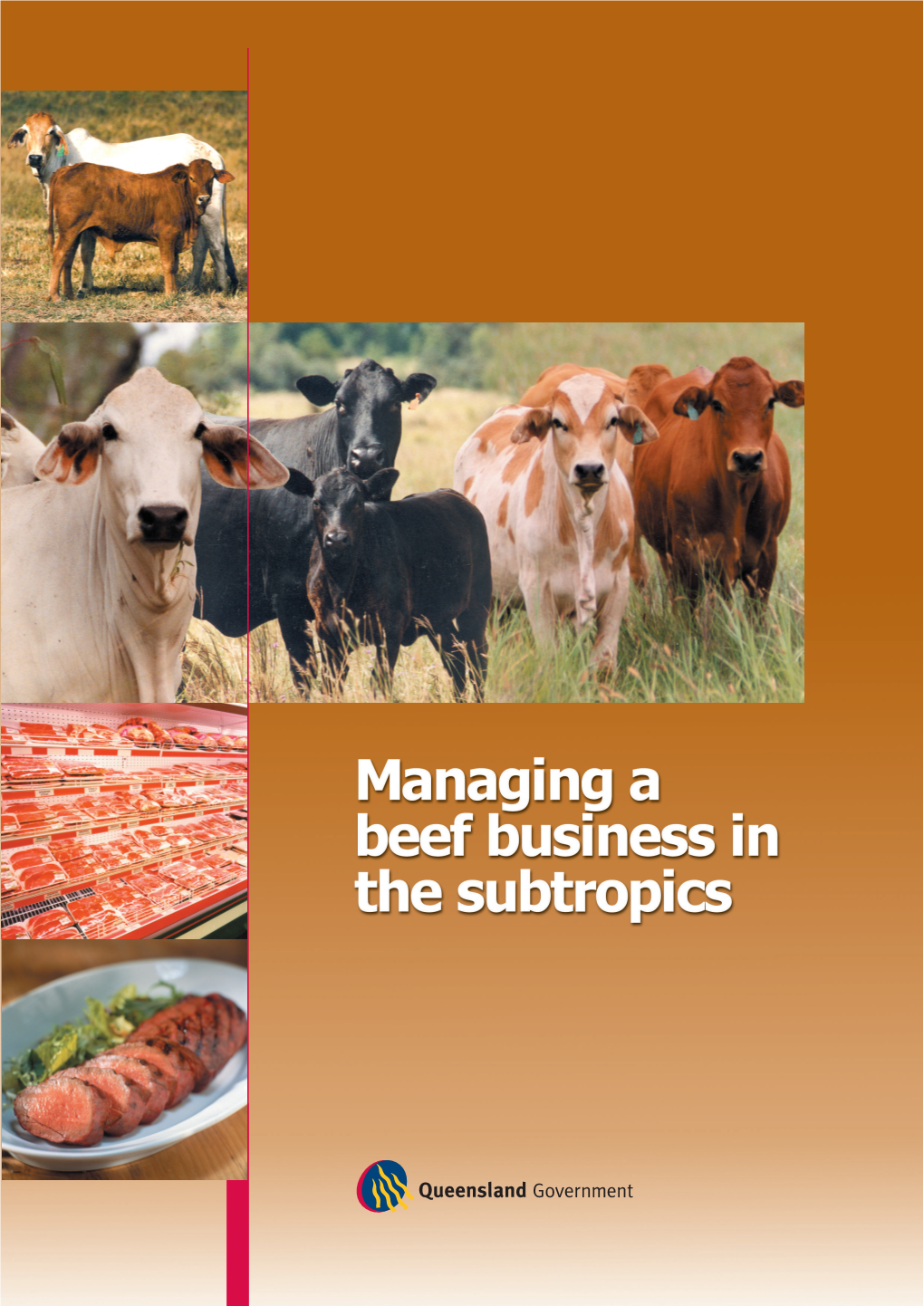 Managing a Beef Business in the Subtropics