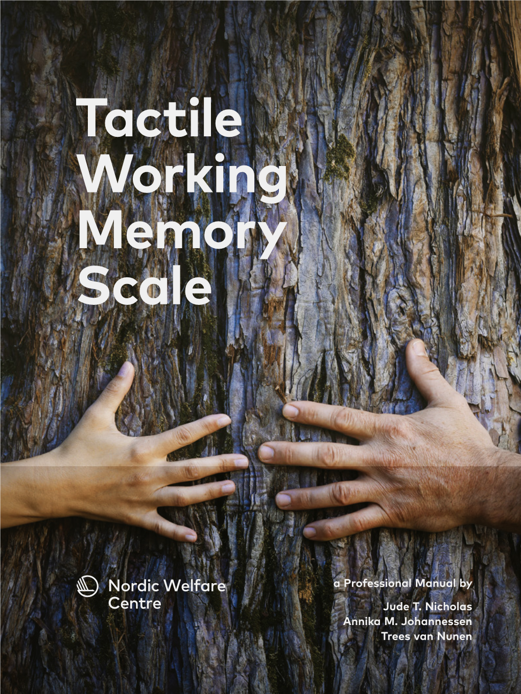 Tactile Working Memory Scale
