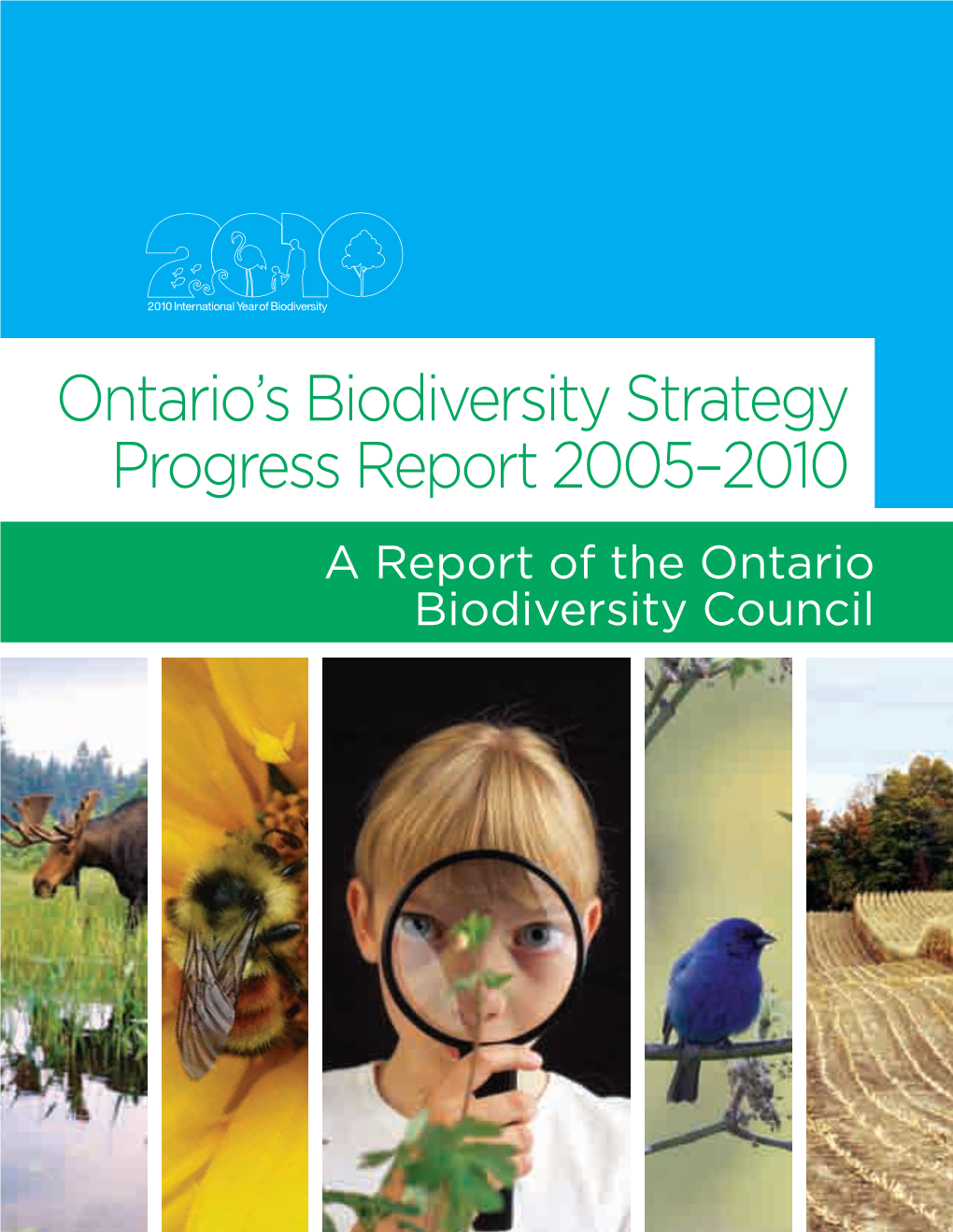 Ontario's Biodiversity Strategy Progress Report 2005-2010