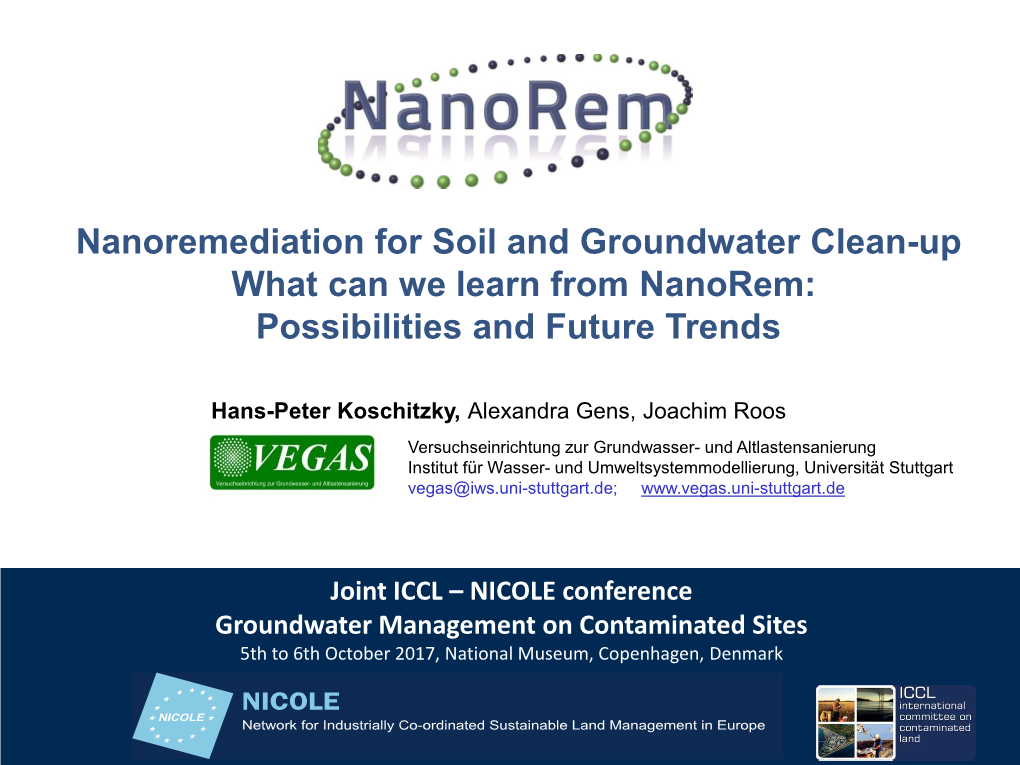 Nanoremediation for Soil and Groundwater Clean-Up What Can We Learn from Nanorem: Possibilities and Future Trends