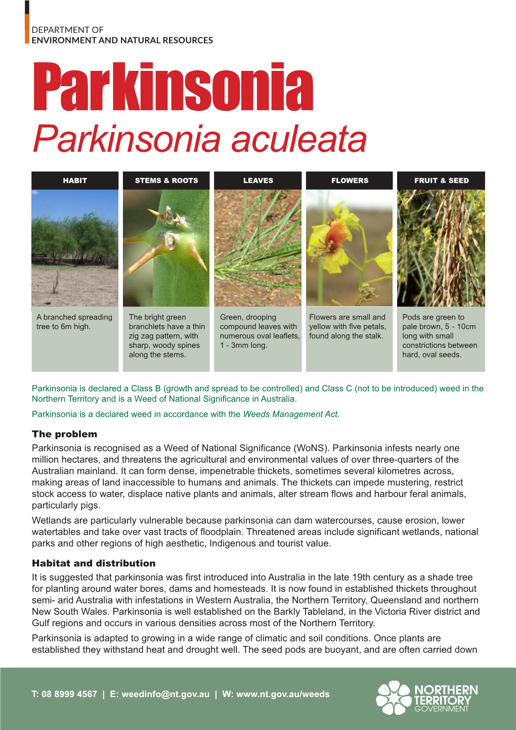 Parkinsonia Aculeata