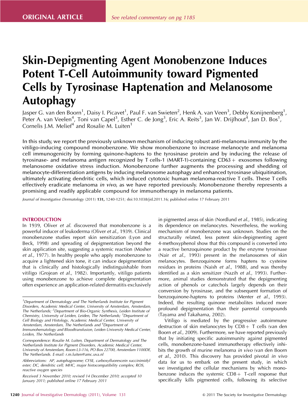 Skin-Depigmenting Agent Monobenzone Induces Potent T-Cell Autoimmunity Toward Pigmented Cells by Tyrosinase Haptenation and Melanosome Autophagy Jasper G