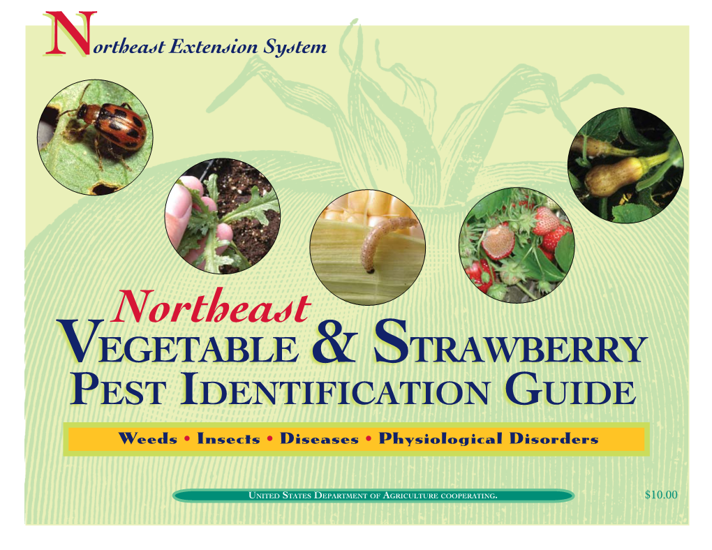 Vegetable & Strawberry Pest Identification Guide Northeast