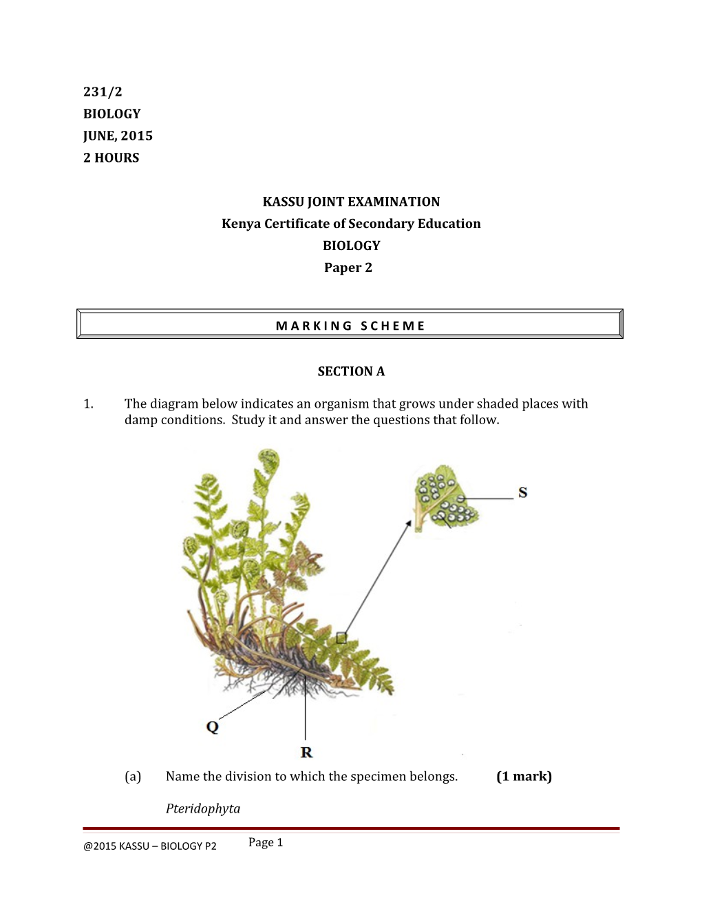 Kenya Certificate of Secondary Education s1