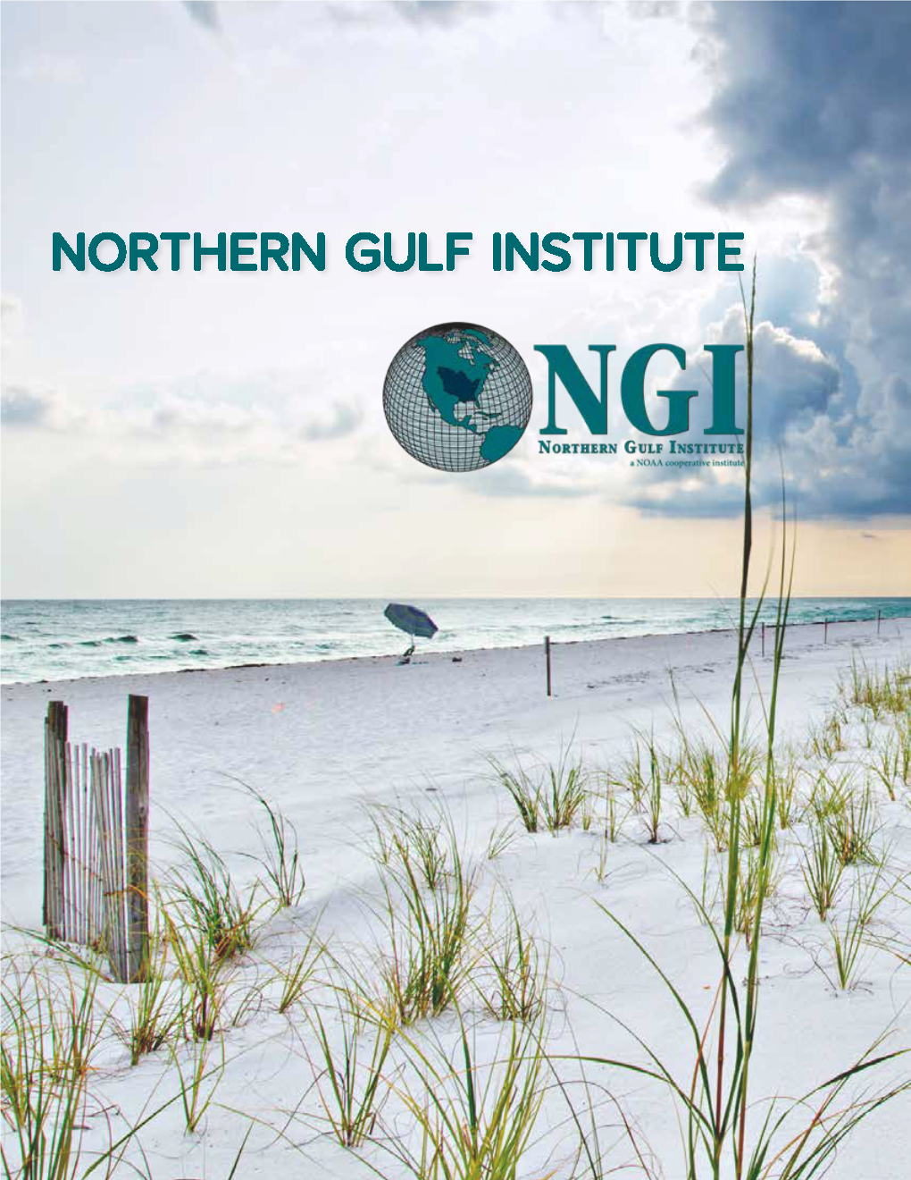 NGI Annual Report 2018
