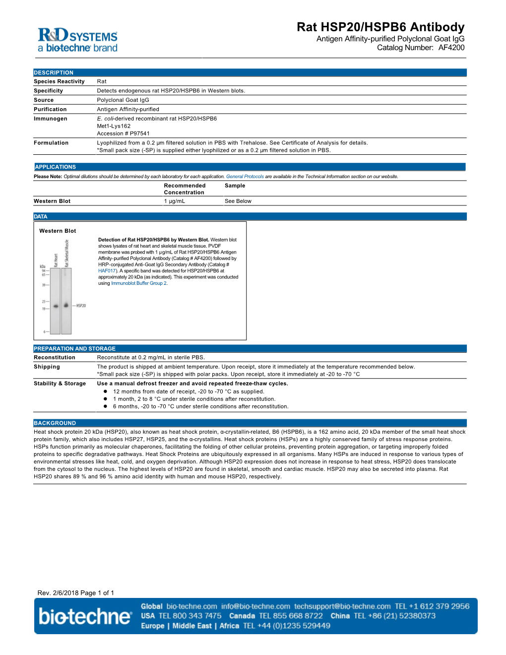 Rat HSP20/HSPB6 Antibody Antigen Affinity-Purified Polyclonal Goat Igg Catalog Number: AF4200