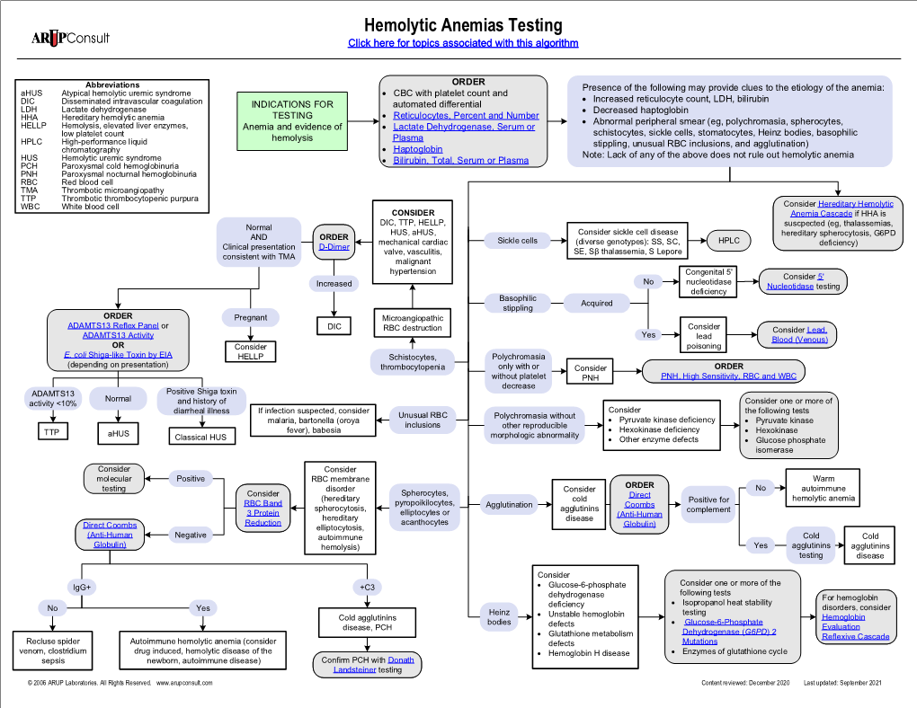 Hemolytic Anemias Testing Algorithm