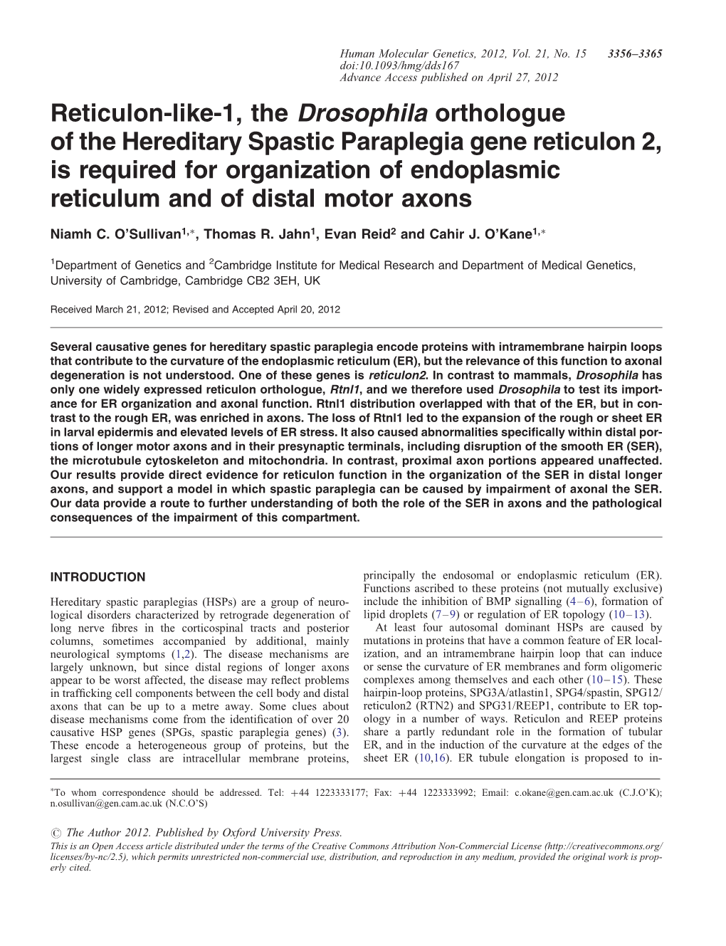 Reticulon-Like-1, the Drosophila Orthologue of the Hereditary Spastic