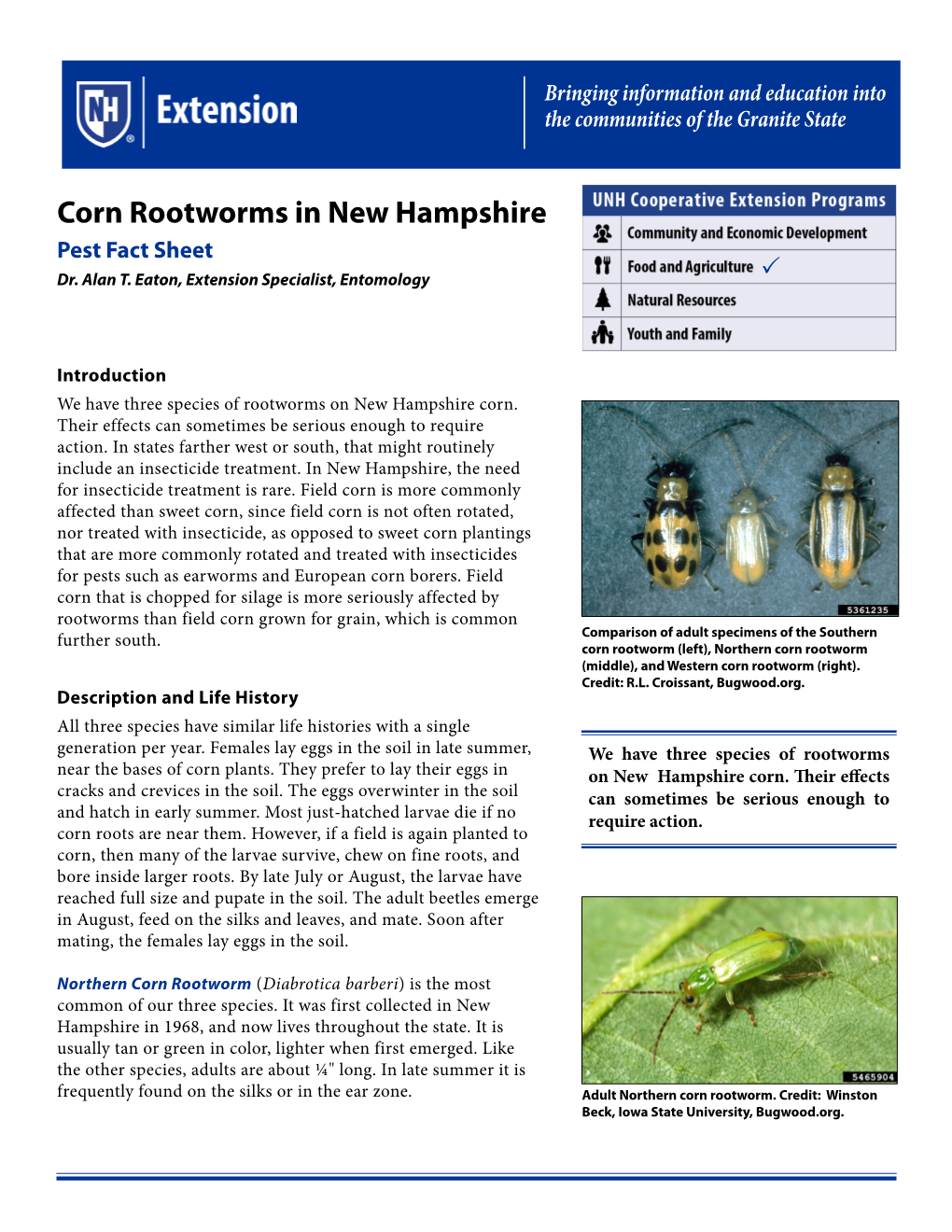 Corn Rootworms in New Hampshire Pest Fact Sheet Dr