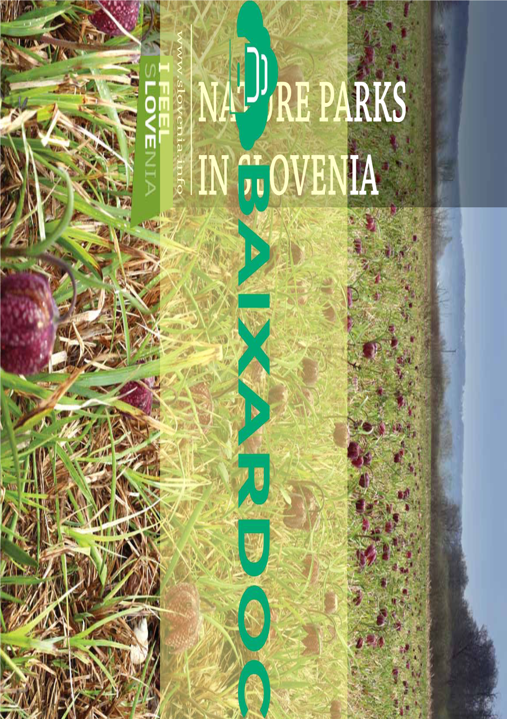 Natural Parks in Slovenia