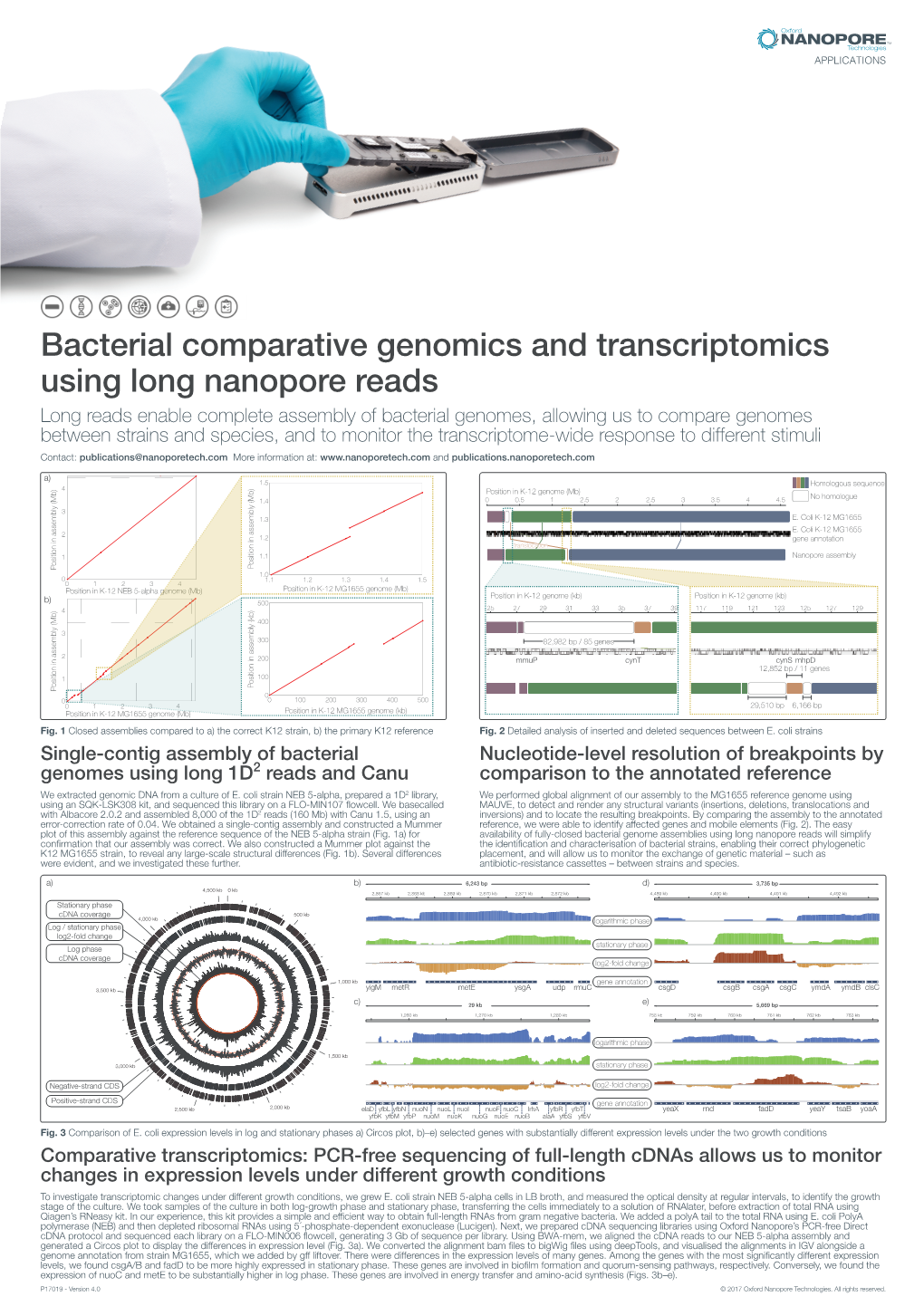 Bacterial Comparative Genomics and Transcriptomics Using Long Nanopore Reads