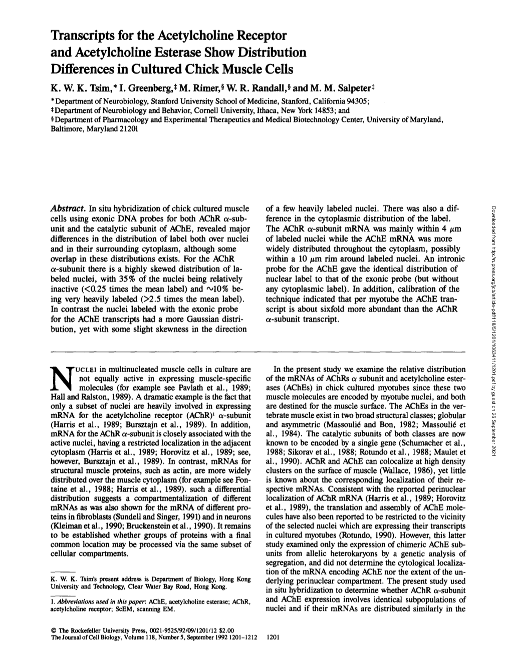 Transcripts for the Acetylcholine Receptor and Acetylcholine Esterase Show Distribution Differences in Cultured Chick Muscle Cells K