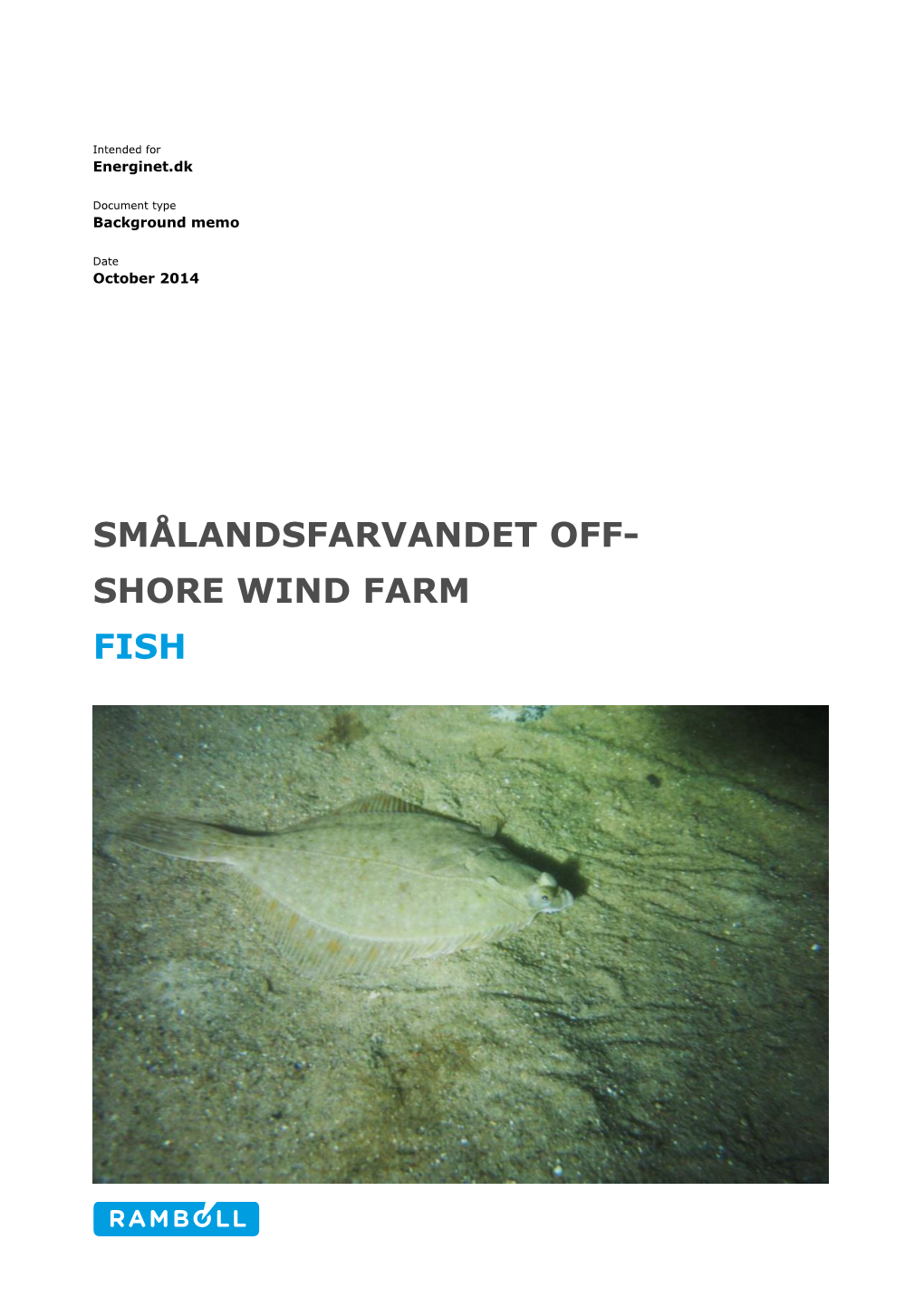 Smålandsfarvandet Off- Shore Wind Farm Fish