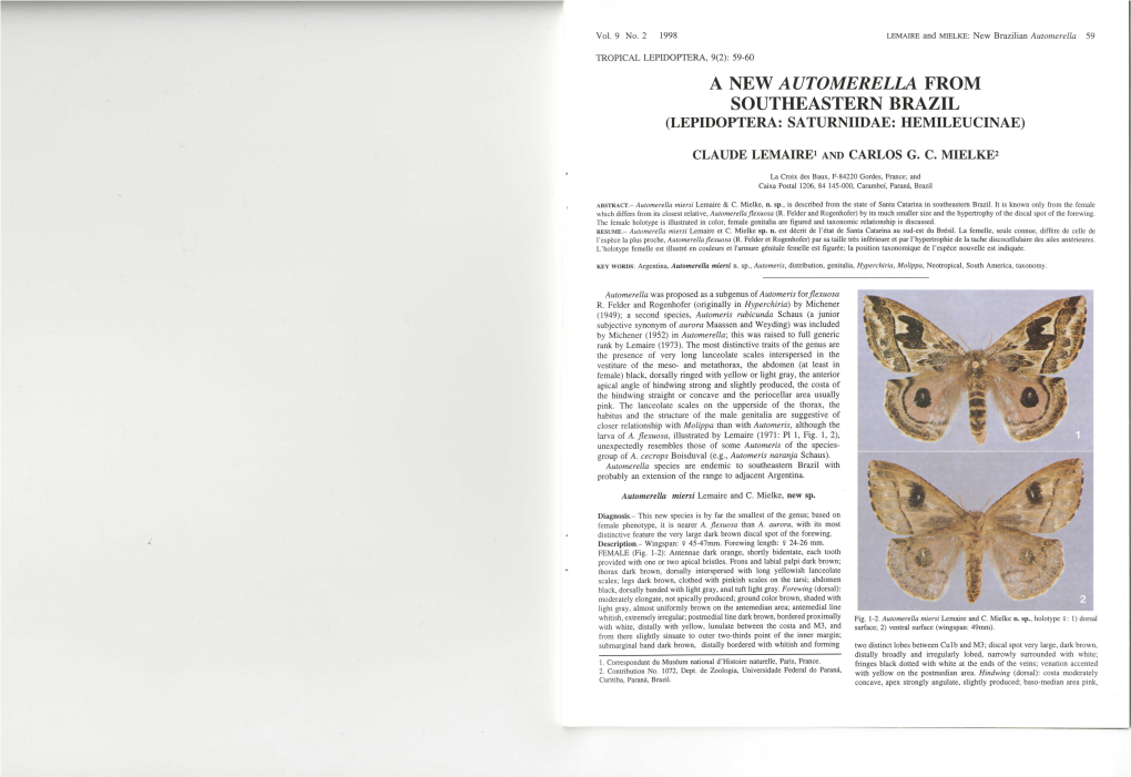 A New Automerella from Southeastern Brazil (Lepidoptera: Saturniidae: Hemileucinae)