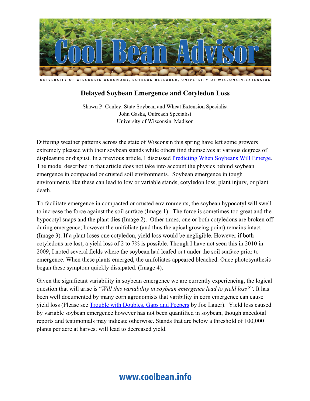 Delayed Soybean Emergence and Cotyledon Loss